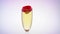 Glass of champagne with a rosebud. White background