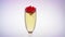 Glass of champagne throw a rosebud. White background