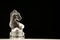 Glass chess piece knight