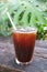 Glass of Chilled Iced Coffee Isolated on Garden Wooden Table