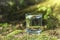 Glass of clean fresh water with lemon on tree stump with moss against green natural background. Spring ecologically pure water.