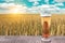 Glass of cold beer at sunset on the background of wheat field and blue sky. Recreation and relax. Fresh brewed ale.