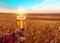 Glass of cold beer at sunset on the background of wheat field and blue sky. Summer landscape. Fresh brewed ale.