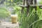 Glass of cold espresso coffee on Timber Background blurry views tree