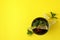 Glass of Cuba Libre on yellow background, space for text