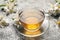 Glass cup of aromatic jasmine tea and fresh flowers on grey table