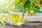 Glass cup of healthy tea with linden tree flowers on wooden board, lime tree flowers.