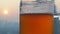 Glass of draft beer with the sunset behind.