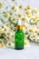 A glass dropper bottle of green color against a background of fragrant field daisies. Natural cosmetics and skin care. Aroma