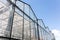 Glass facade of agricultural glasshouse on blue sky background