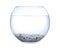 Glass fish bowl with clear water and decorative pebble isolated