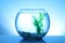 Glass fish bowl with clear water, plant and decorative pebble on background