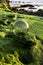 Glass fisnet float on the shore