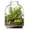 Glass florarium with green plants in a glass bottle isolated on white background