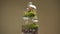 Glass florarium vase with different type of plants inside.