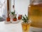 Glass with fresh homemade flavored kombucha tea on a counter top in a white kitchen
