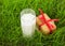 Glass of fresh milk and cookies on green grass