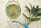 Glass full of healthy beverage made from Mediterranean aromatic plant sage