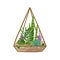 Glass geometric florarium with succulent in modern scandinavian style. Polygon shaped terrarium with houseplant in flat