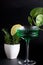 A glass glass of cream with colored drinks on a black background with green tropical leaves.