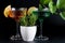 A glass glass of cream with colored drinks on a black background with green tropical leaves.