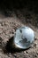 Glass globe on soil - Series 2