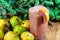 Glass of guava juice (Psidium guajava) and natural fruits