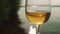 Glass half full of white wine in focus with defocused lake on background