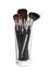 Glass holder with professional makeup brushes on white background