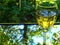 A glass of homemade fruit wine on a mirrored surface that reflects the sunny autumn sky