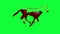 Glass horse filled with red liquid, running seamless loop, Green Screen Chromakey