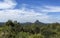 Glass House Mountains â€“ Views from the Lookout