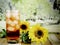 A glass of iced tea sitting on a wooden table with sunflowers with a blurred background of a tree lined lake in the sunshine.