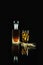 Glass of iced whisky and a bottle of whisky with wheat on reflected floor on dark background