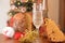 Glass of italian spumante for happy new year and traditional panettone for christmas decoration