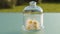 Glass jar with chamomile flowers