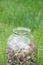 Glass jar with dried clover