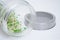 Glass jar with metal lid, mesh, for microgreen, young sprouts of radish, lucerne, fenugreek plants on white background