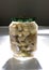 Glass jar with pickled mushrooms in back-light