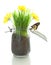 Glass jar with soil, grass with flowers and butterfly