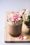 Glass Jar of Tasty Hot Cocoa or Chocolate Decorated with Marshmallow and Crumbled Candy Cane Christmas Beverage Blue Background