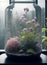 A glass jar terrarium filled with many flowers