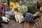 Glass jars of dry different medicinal herbs, aromatic sachets, bunches of dry lavender on table.