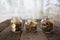 Glass jars with money coins ruble