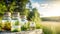 Glass jars with natural tinctures on wild herbs on wooden table on blurred lanscape background