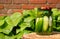 Glass jars of pickled homemade organic cucumber