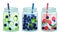 Glass Jars with Refreshing Fruit Water and Straw Vector Set