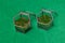 Glass jewellery boxes with greenery on green background, closeup