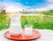 Glass jug with milk and a glass on the grass against a background of picturesque green meadows with flowers.