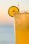 Glass of lemonade against California sunset, natural color, room for text